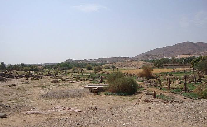 Badr Ziyarat
